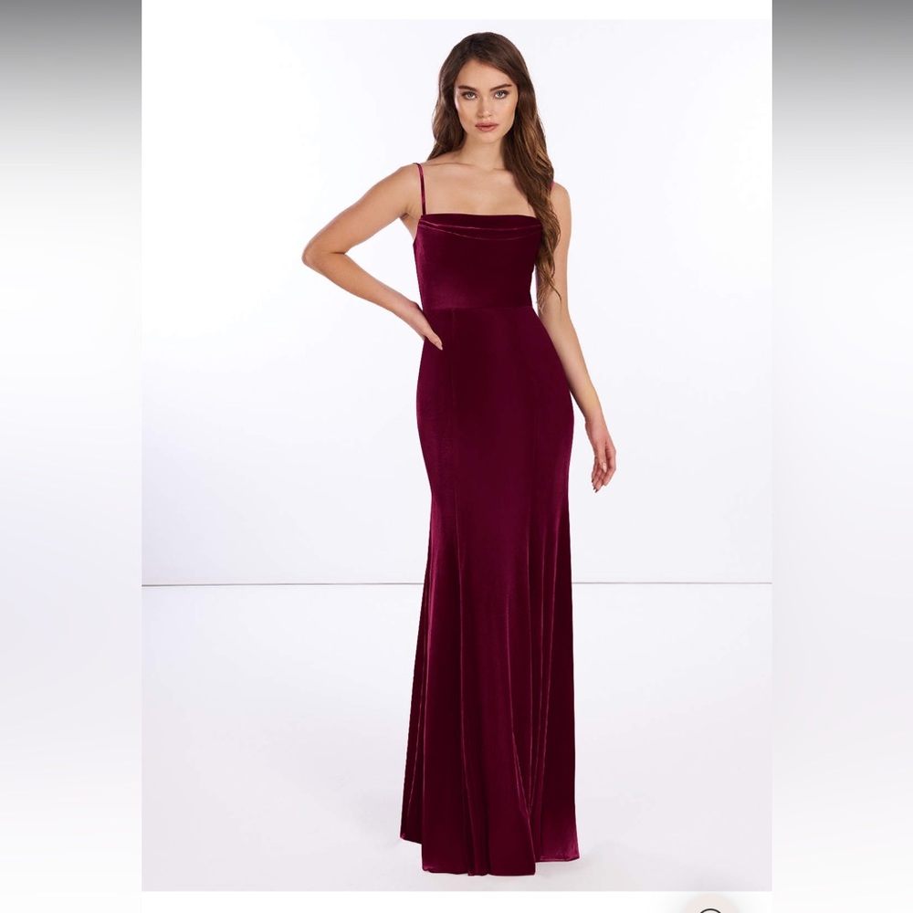 Azazie Solange Velvet Floor-Length Dress in Cabernet Size 2